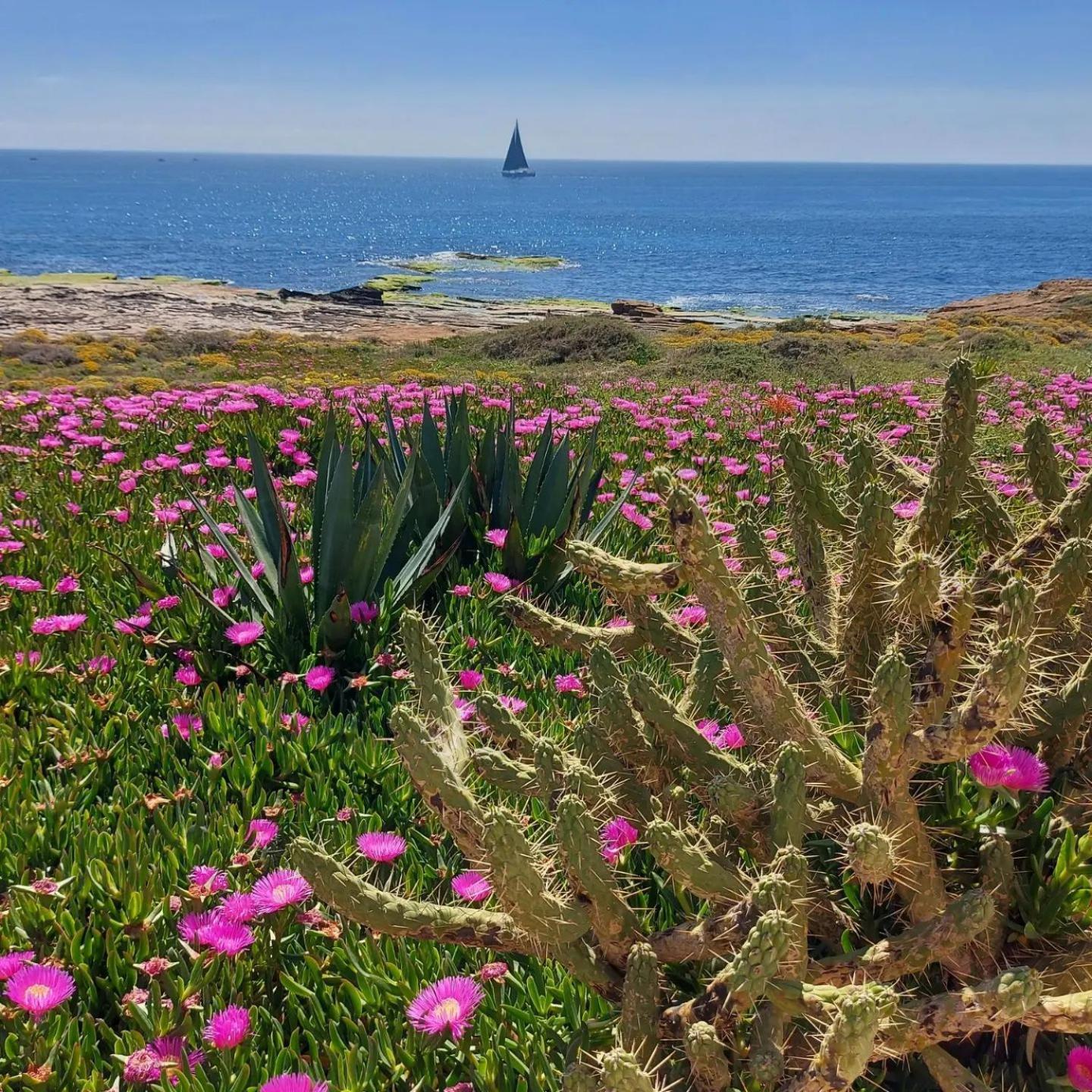 Maravillosa Terraza Con Vistas Al Mar, La Mata Torrevieja Exteriér fotografie