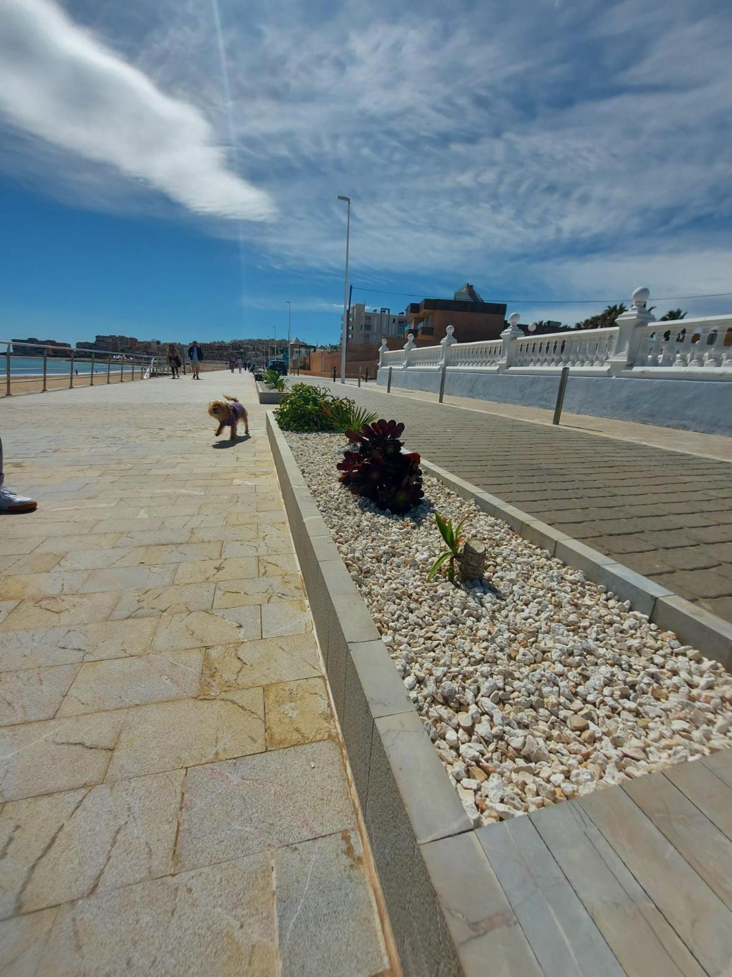 Maravillosa Terraza Con Vistas Al Mar, La Mata Torrevieja Exteriér fotografie