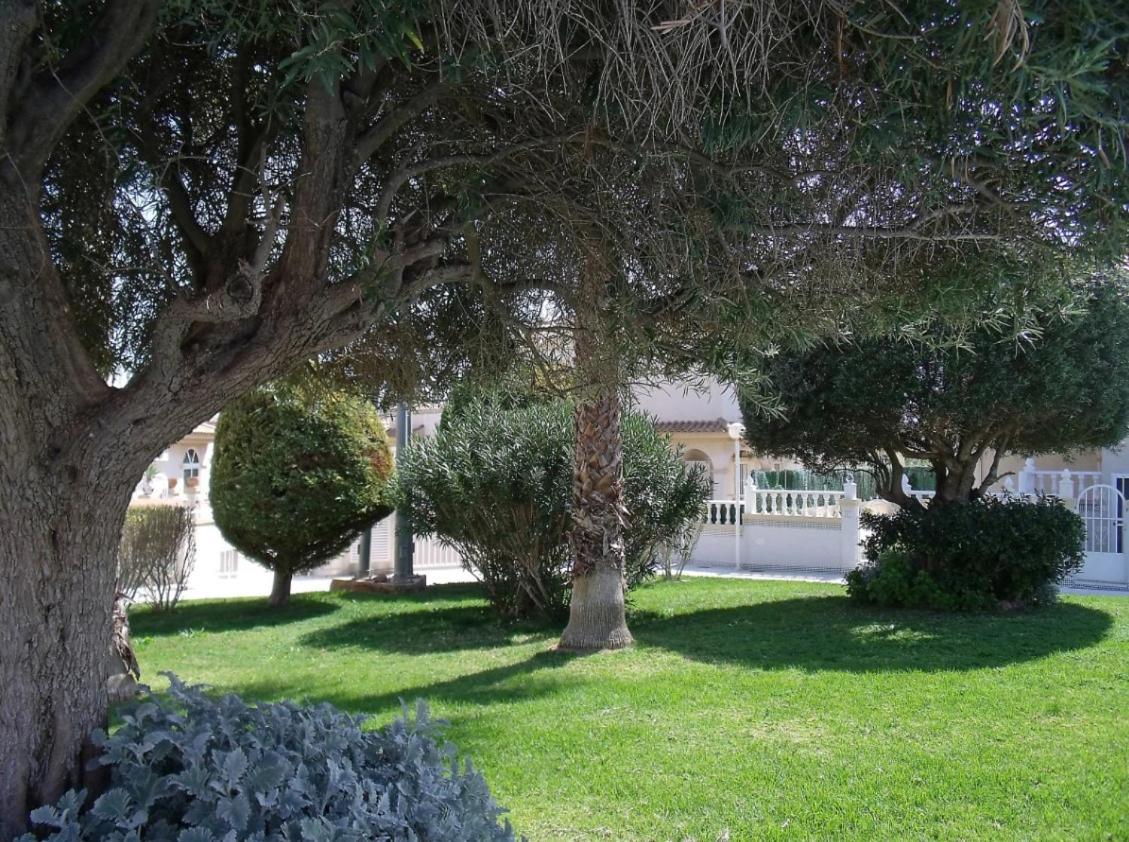 Maravillosa Terraza Con Vistas Al Mar, La Mata Torrevieja Exteriér fotografie